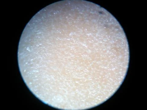 Peanuts under the microscope under the increase of spoiled mycotoxins fungi mold Stock Photos