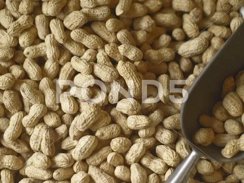 Peanuts unshelled Stock Photos