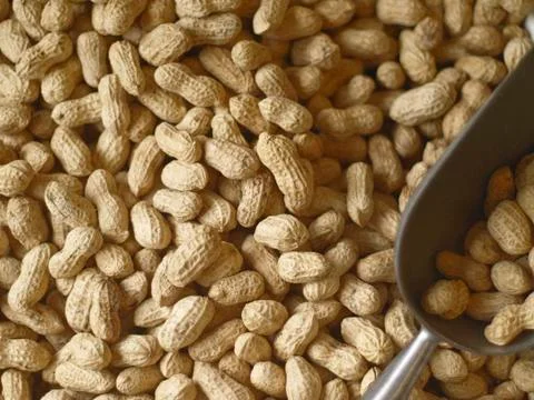 Peanuts unshelled Stock Photos