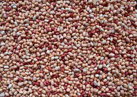 Peanuts of various varieties on the plane Stock Photos