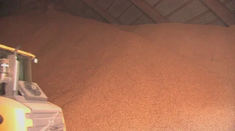 Peanuts in warehouse 3 Stock Footage 32288795