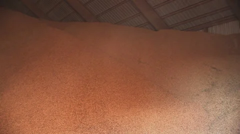 Peanuts in wearhouse 2 Stock Footage 32287682