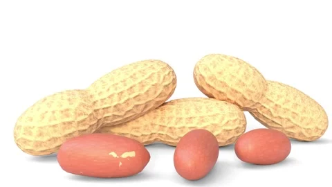 Peanuts on white background Stock Footage 311027777