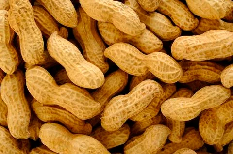 Peanuts on white background Stock Photos