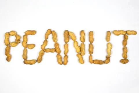 Peanuts on a white background Stock Photos