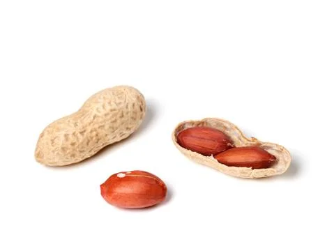 Peanuts on a white background Stock Photos