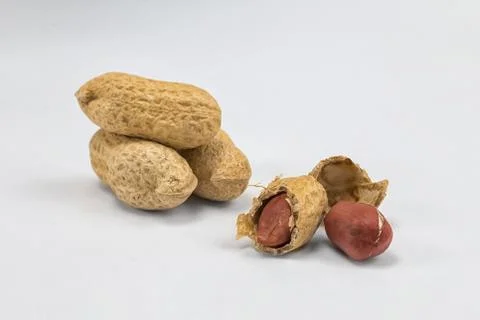 Peanuts on a white background Stock Photos