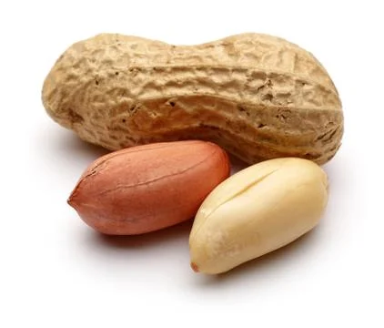 Peanuts on white background Stock Photos