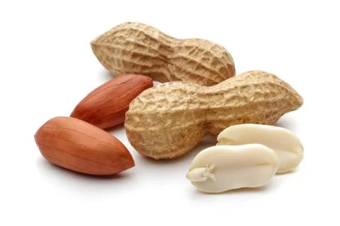 Peanuts on white background Stock Photos