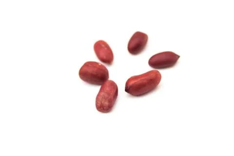 Peanuts on white background 스톡 사진