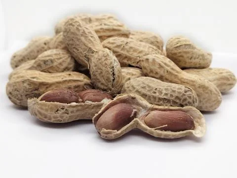 Peanuts on white background Stock Photos