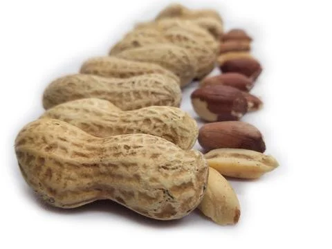 Peanuts on white background Stock Photos