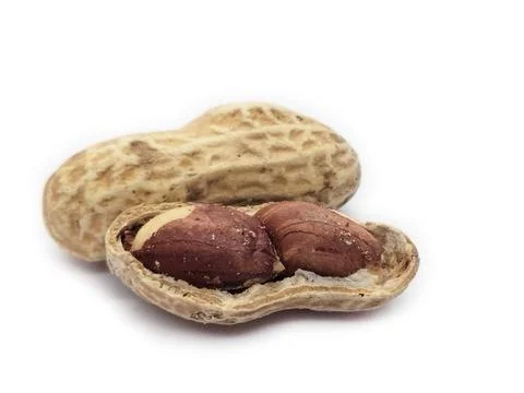 Peanuts on white background Stock Photos