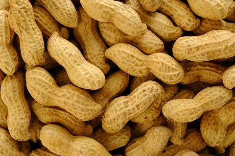 Peanuts on white background Stock Photos
