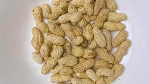 Peanuts in the white bowl Stock Footage 260640780