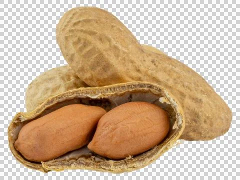 Peanuts. Whole peanuts in shells and opened peanut Stock Photos