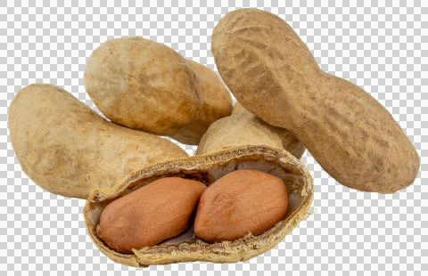 Peanuts. Whole peanuts in shells and opened peanut Stock Photos
