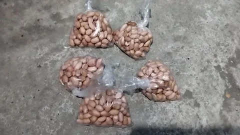 Peanuts wrapped in clear plastic Stock Footage 219199056