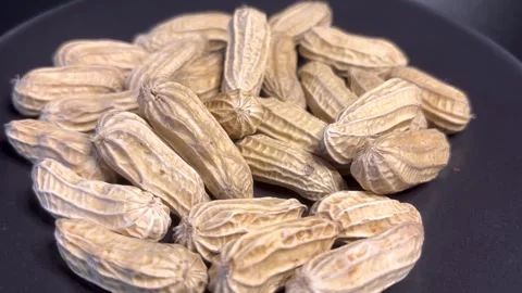 Peanuts2 Stock Footage 324502546