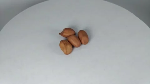 Peanuts4 Stock Footage 329741470