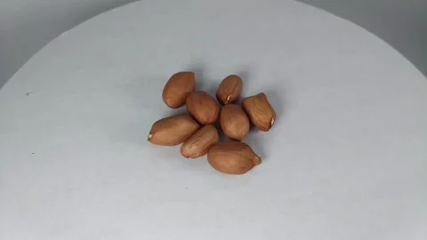 Peanuts6 Stock Footage 329741490