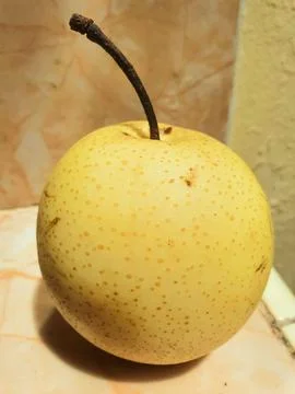 Pear 1 Stock Photos