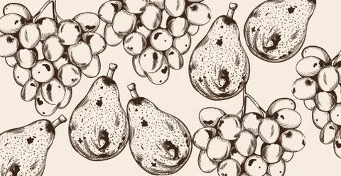 Pear and grapes Vector line art. Autumn fall harvest pattern decors Stock Illustration