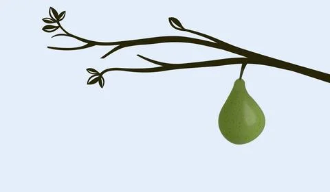 Pear On A Branch Stock Illustration