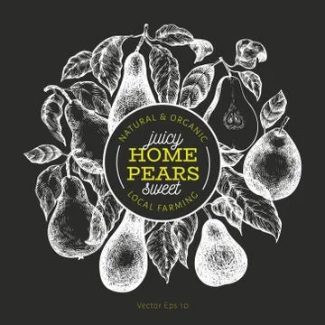 Pear design template. Hand drawn vector garden fruit illustration on chalk bo Stock Illustration