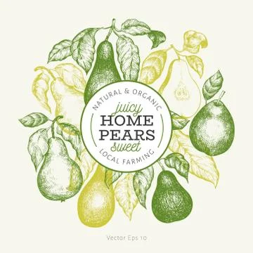 Pear design template. Hand drawn vector garden fruit illustration. Engraved s Illustrazione stock
