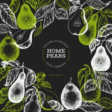 Pear design template. Hand drawn vector garden fruit illustration on chalk bo Stock Illustration