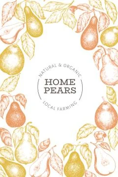 Pear design template. Hand drawn vector garden fruit illustration. Engraved s Stock Illustration