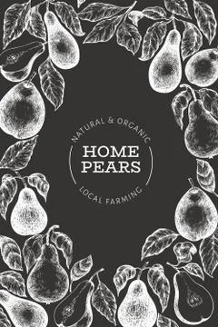 Pear design template. Hand drawn vector garden fruit illustration on chalk bo Stock Illustration
