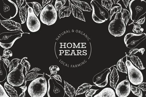 Pear design template. Hand drawn vector garden fruit illustration on chalk bo Stock Illustration