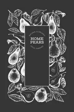 Pear design template. Hand drawn vector garden fruit illustration on chalk bo Stock Illustration