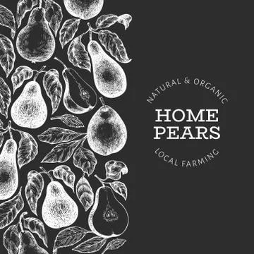 Pear design template. Hand drawn vector garden fruit illustration on chalk bo Stock Illustration