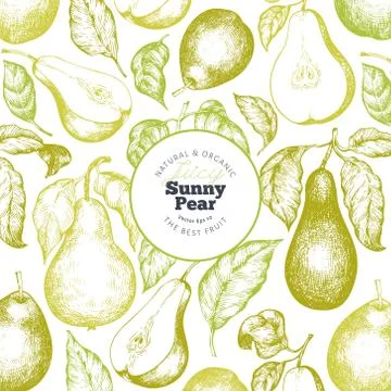 Pear design template. Hand drawn vector garden fruit illustration. Engraved s Stock Illustration