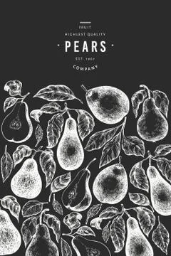 Pear design template. Hand drawn vector garden fruit illustration on chalk bo Stock Illustration
