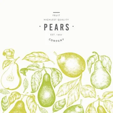 Pear design template. Hand drawn vector garden fruit illustration. Engraved s Stock Illustration