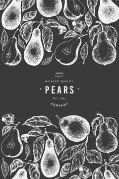 Pear design template. Hand drawn vector garden fruit illustration on chalk bo Stock Illustration