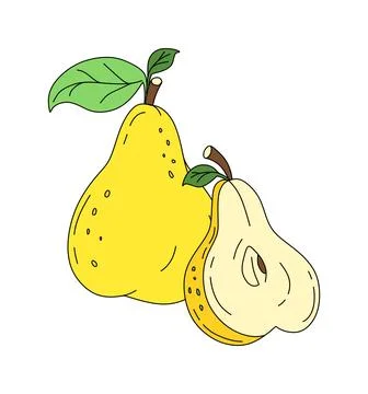 Pear doodle linear vector color illustration isolated on white イラスト素材