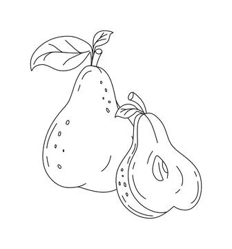 Pear doodle Vector illustration coloring book for kids Stock Illustration