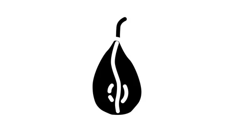 Pear dried fruit glyph icon animation Stock Footage 326745631