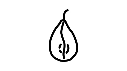 Pear dried fruit line icon animation Stock Footage 326764535