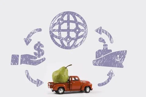 Pear to export Foto stock