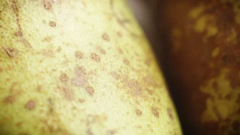 Pear extreme close up slowly rotating and gentle stop stock footage Vídeo Stock 326317279