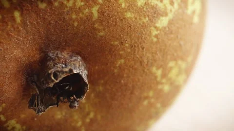 Pear extreme close up slowly rotating and gentle stop stock footage Vídeo Stock 326317367