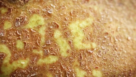 Pear extreme close up slowly rotating and gentle stop stock footage Vídeo Stock 326317402