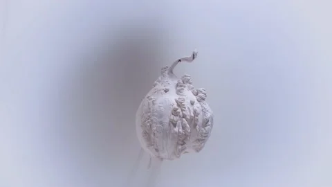 Pear Stock Footage 154575849