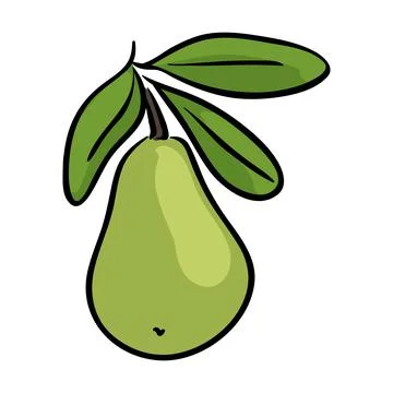 Pear fruit clip art Illustrazione stock